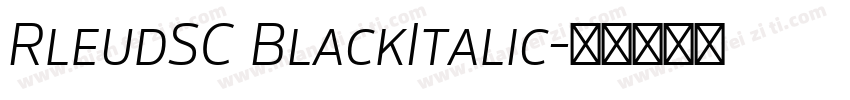 RleudSC BlackItalic字体转换